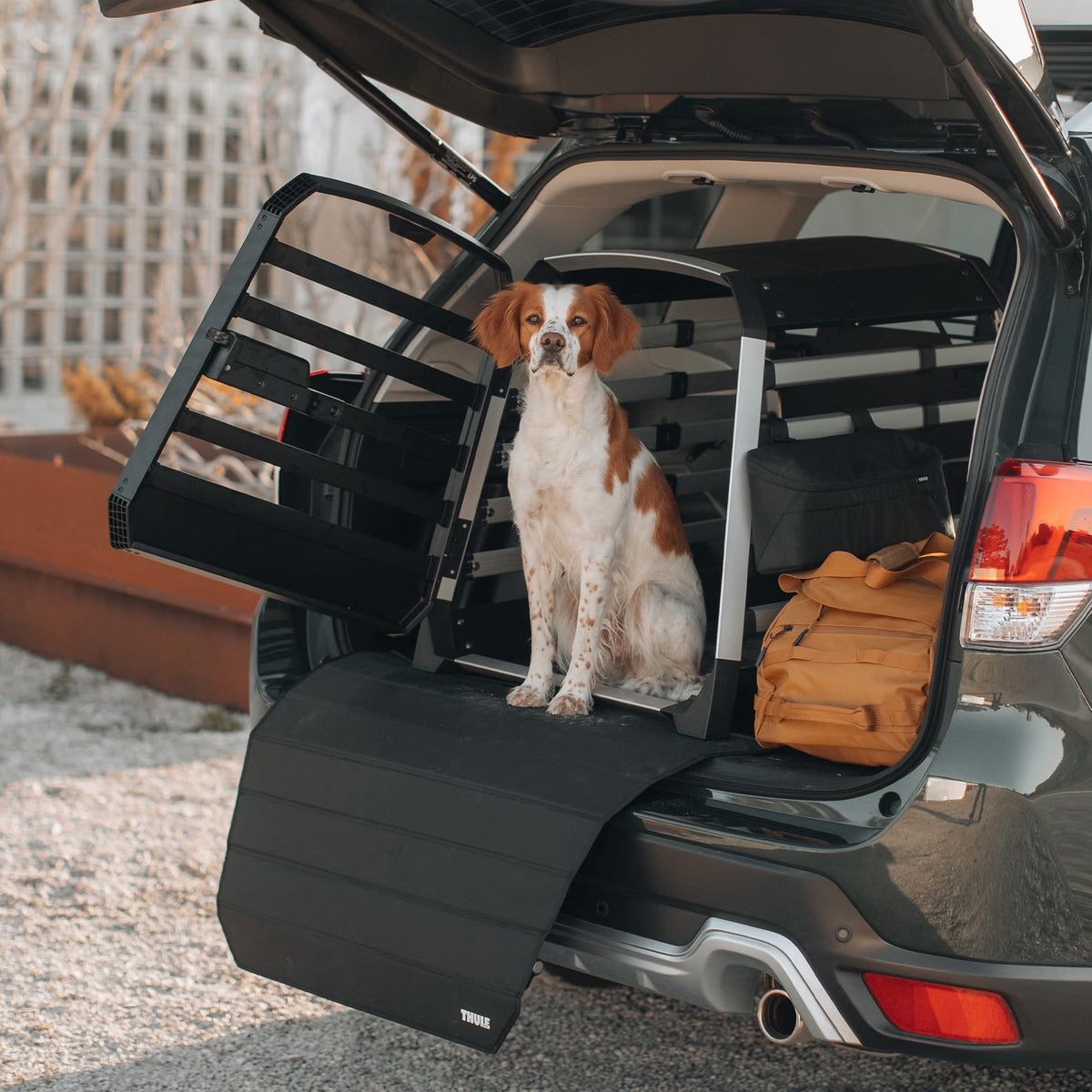 Thule Allax Car Dog Crate