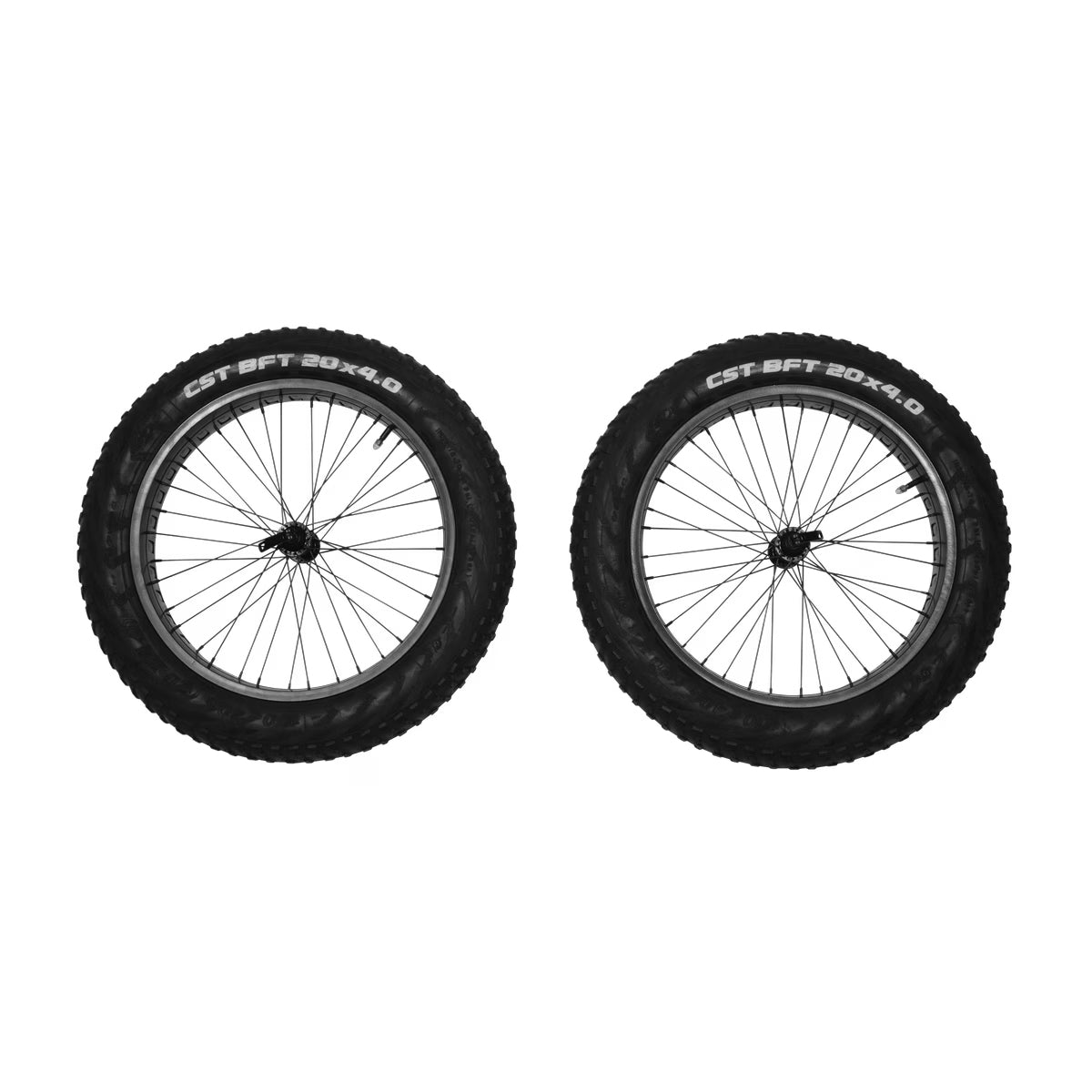 Thule Reacha 20" Fat Tire Wheel Set