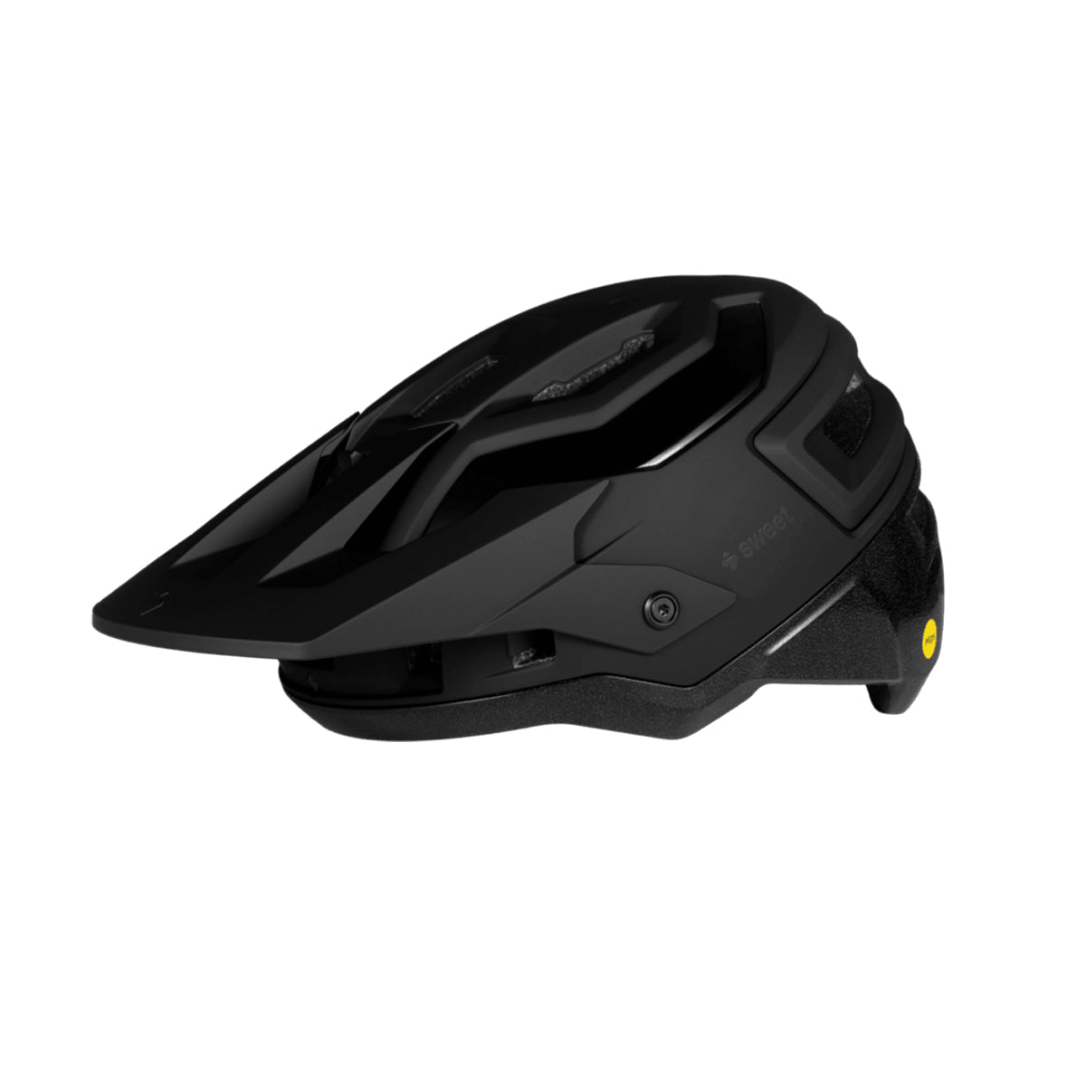 Sweet Protection Bushwhacker 2Vi Mips Viz Helmet
