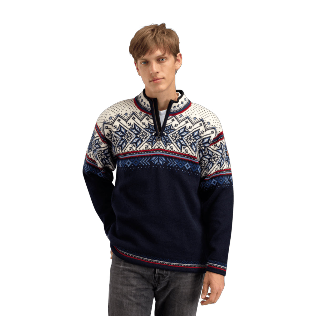 Dale of Norway Vail Masc Sweater