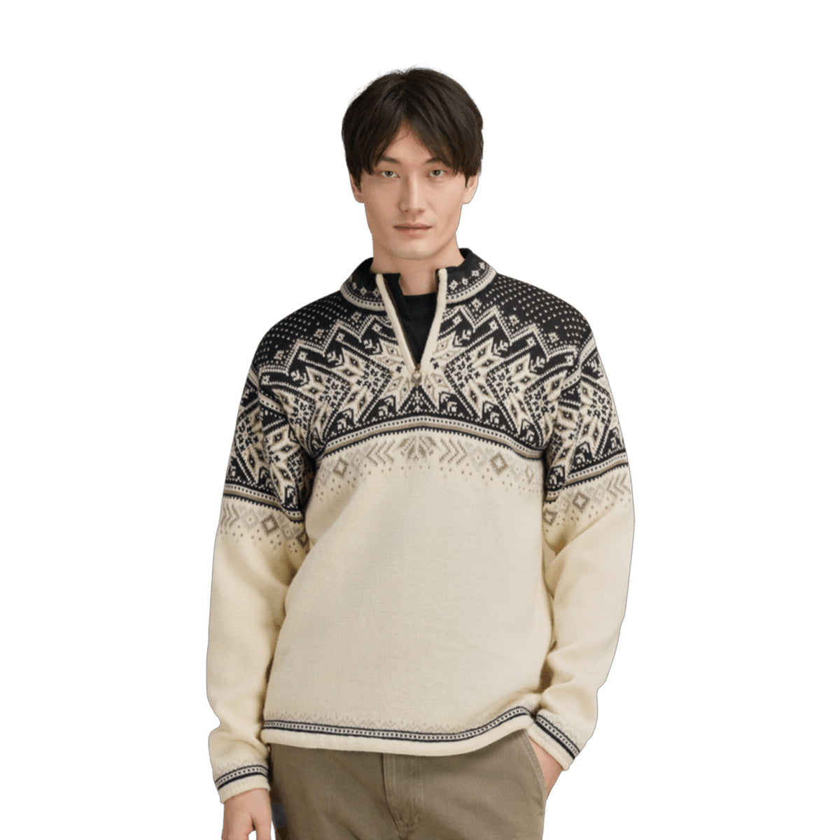 Dale of Norway Vail Masc Sweater