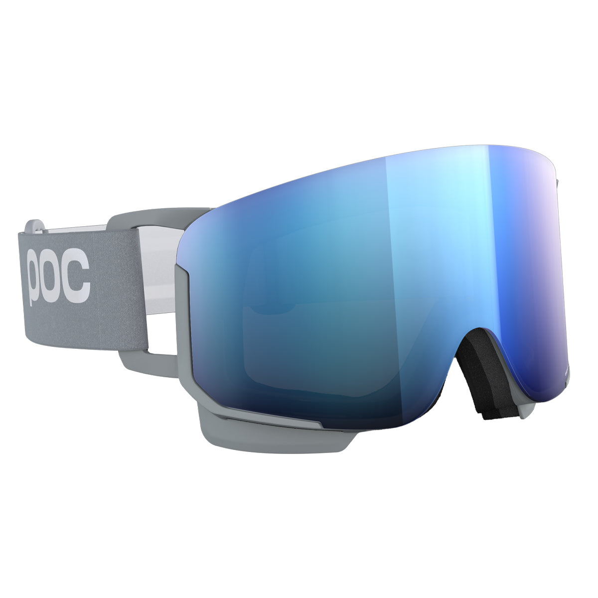 POC Sports Nexal Goggles