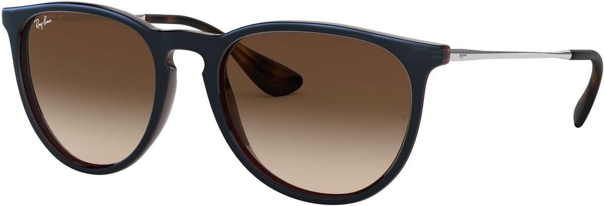 Ray-Ban RB4171 Erika Sunglasses