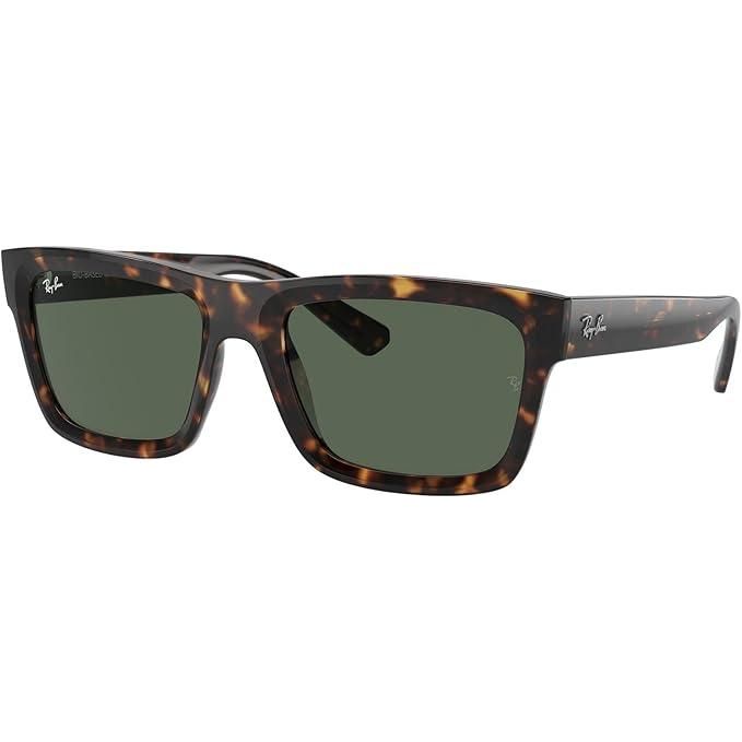 Ray-Ban RB4396 Warren Sunglasses