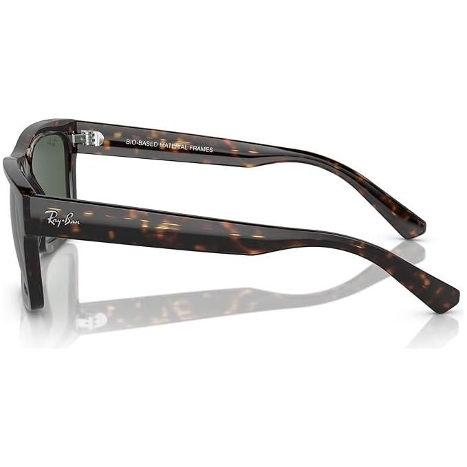 Ray-Ban RB4396 Warren Sunglasses