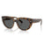 Havana On Trans Brown; Dark Grey / 52 mm