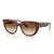 Lt Havana On Transp. Multi; Clear Gradient Brown / 52 mm