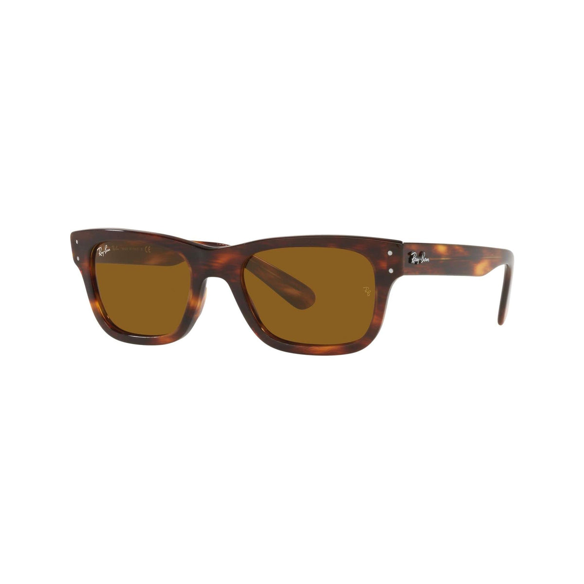 Ray-Ban RB2283 Mr Burbank Sunglasses