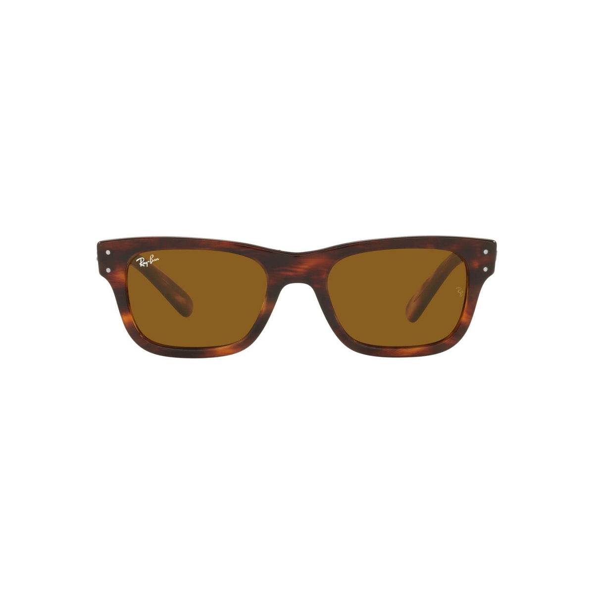 Ray-Ban RB2283 Mr Burbank Sunglasses