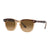 Havana On Transparent Brown; Brown Gradient Polar / 52 mm