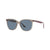 Transparent Grey; Dark Blue Polar / 54 mm