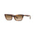 Striped Havana; Clear Gradient Brown / 55 mm