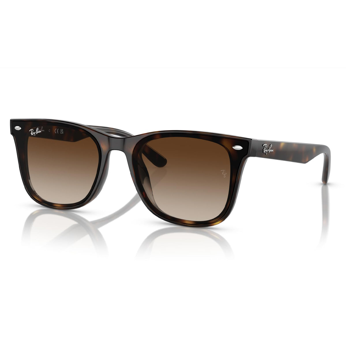Ray-Ban RB4420 Sunglasses