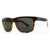 Darkside Tort; Grey Polarized