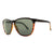 Darkside Tort; Grey Polarized