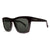 Gloss Black; Grey Polarized