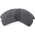 Black Irid Polarized