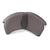 Prizm Grey Polarized