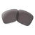 Prizm Grey Polarized