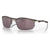 Pewter; PRIZM Daily Polarized