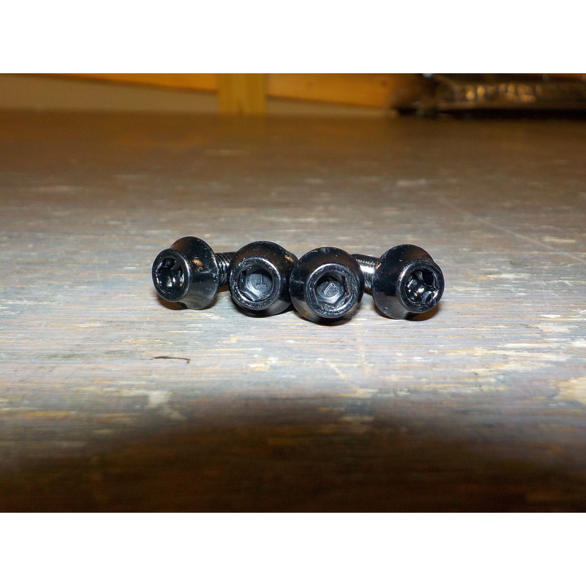 Wolf Tooth Water Bottle Cage Bolts - Black - Used - Acceptable