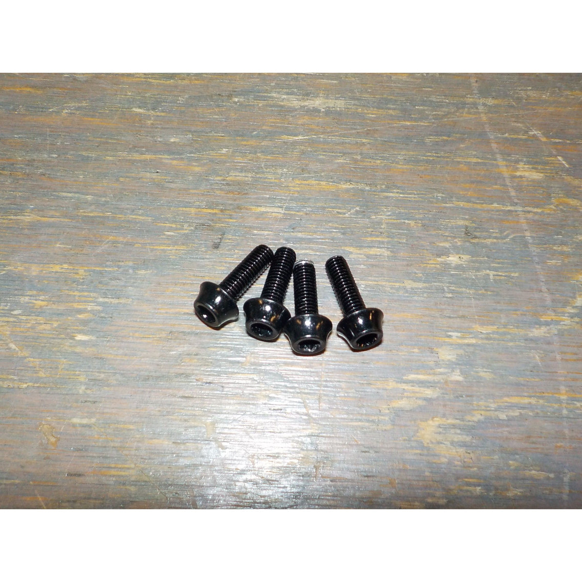 Wolf Tooth Water Bottle Cage Bolts - Black - Used - Acceptable